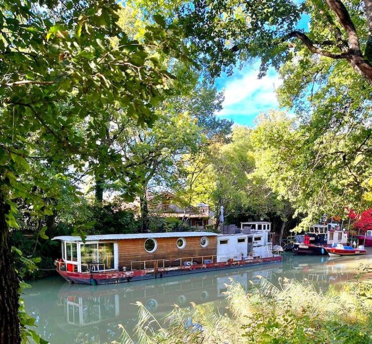 Insolite Peniche Amazonie Canal Du Midi Gardouch Bagian luar foto