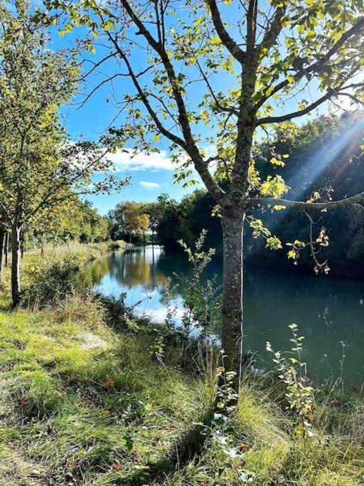 Insolite Peniche Amazonie Canal Du Midi Gardouch Bagian luar foto