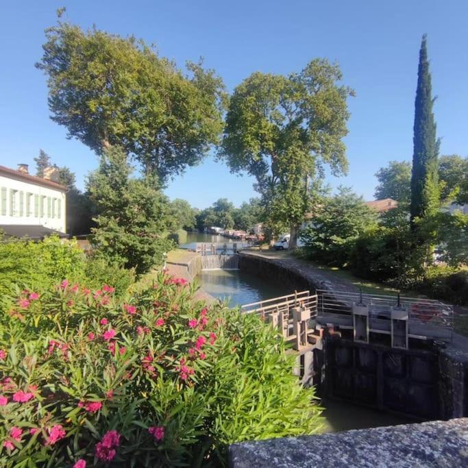 Insolite Peniche Amazonie Canal Du Midi Gardouch Bagian luar foto