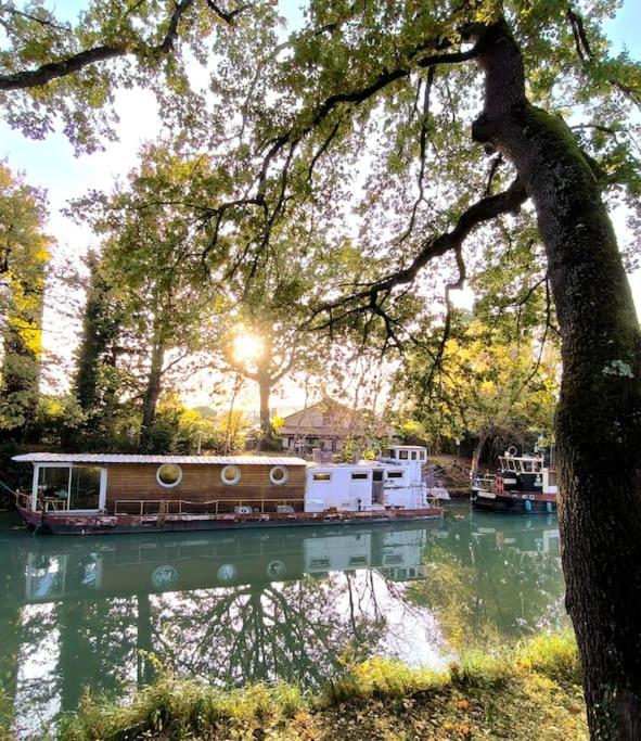 Insolite Peniche Amazonie Canal Du Midi Gardouch Bagian luar foto